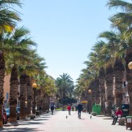 Reventa - Chalets -
Guardamar del Segura - Urbanizaciones