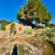 Reventa - Chalets -
Guardamar del Segura