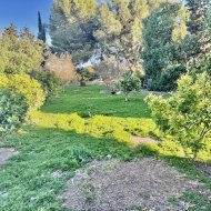 Reventa - Chalets -
Guardamar del Segura