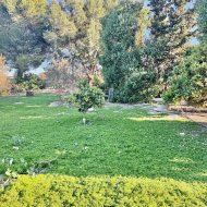Reventa - Chalets -
Guardamar del Segura