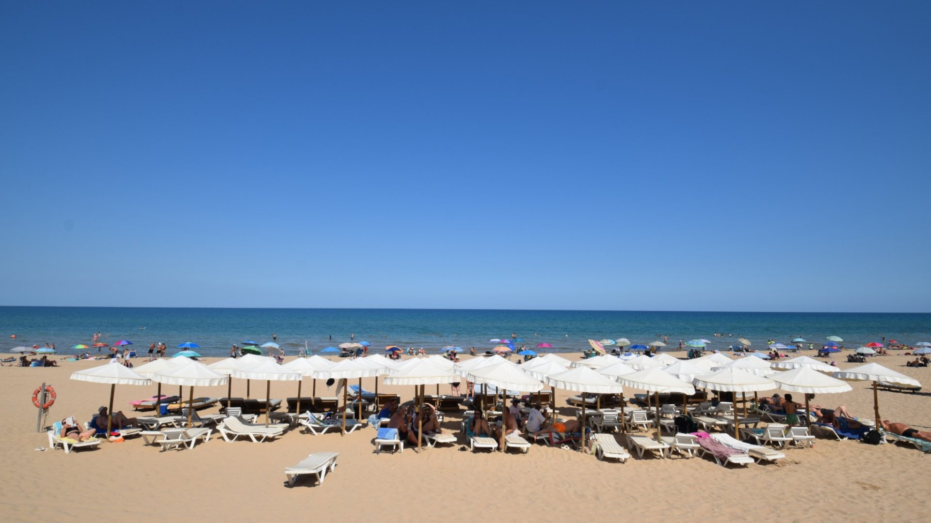 Reventa - Chalets -
Guardamar del Segura