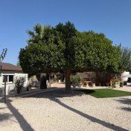 Reventa - Chalets -
La Marina - Elche / Elx