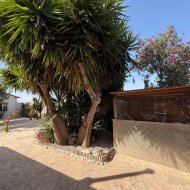 Reventa - Chalets -
La Marina - Elche / Elx