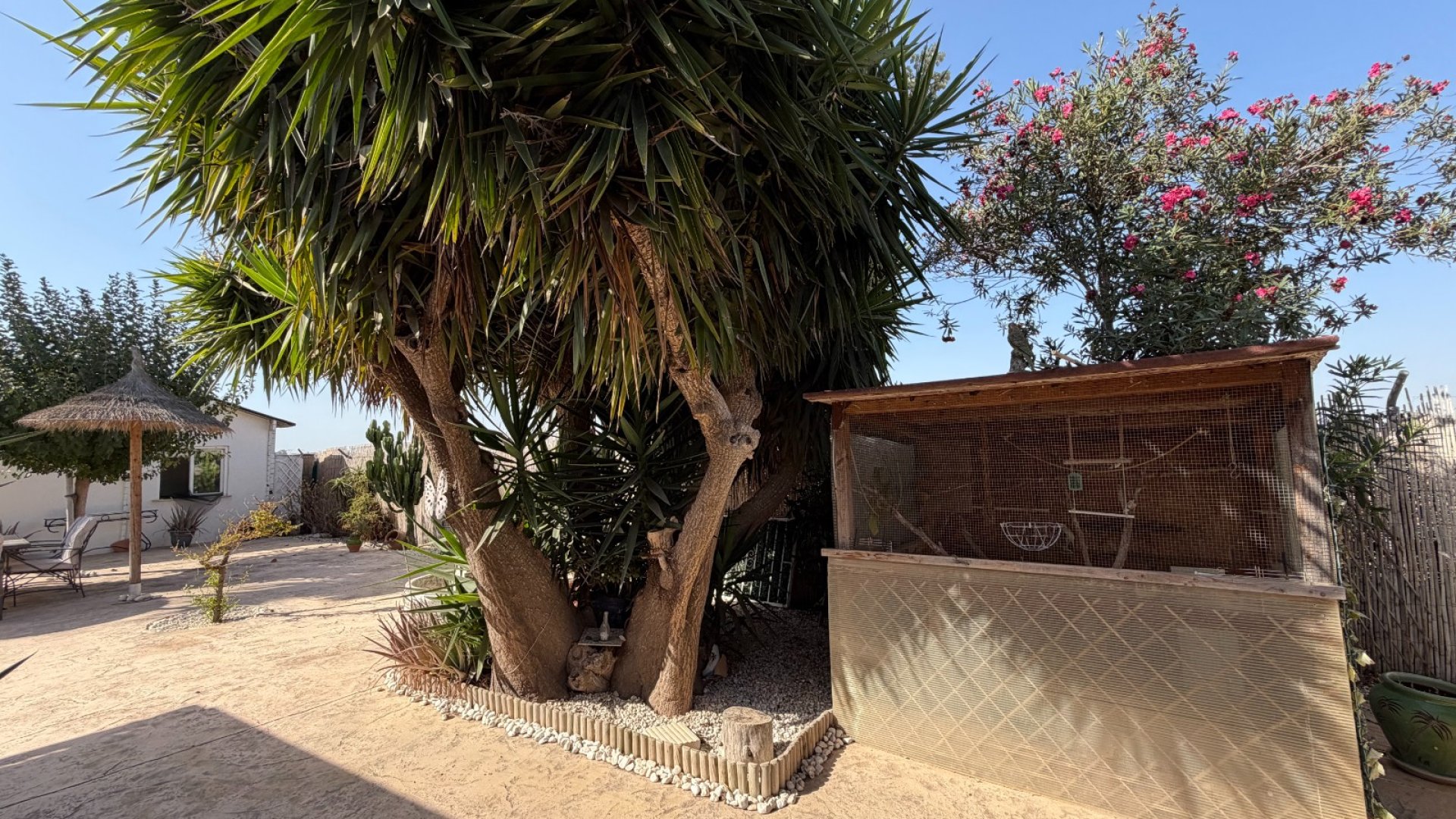 Reventa - Chalets -
La Marina - Elche / Elx