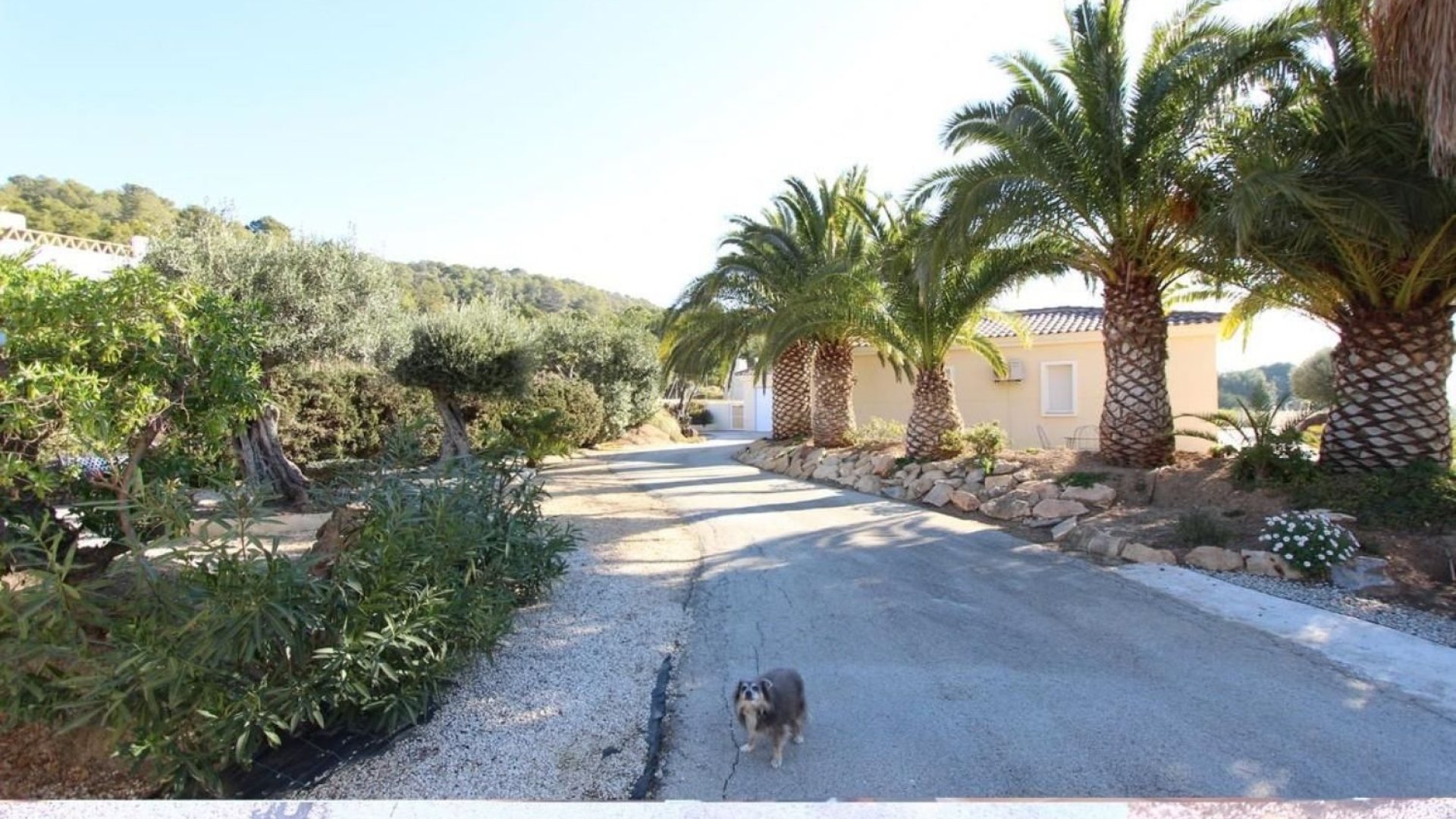 Reventa - Chalets -
La Nucía - El Tossal-Bello Horizonte