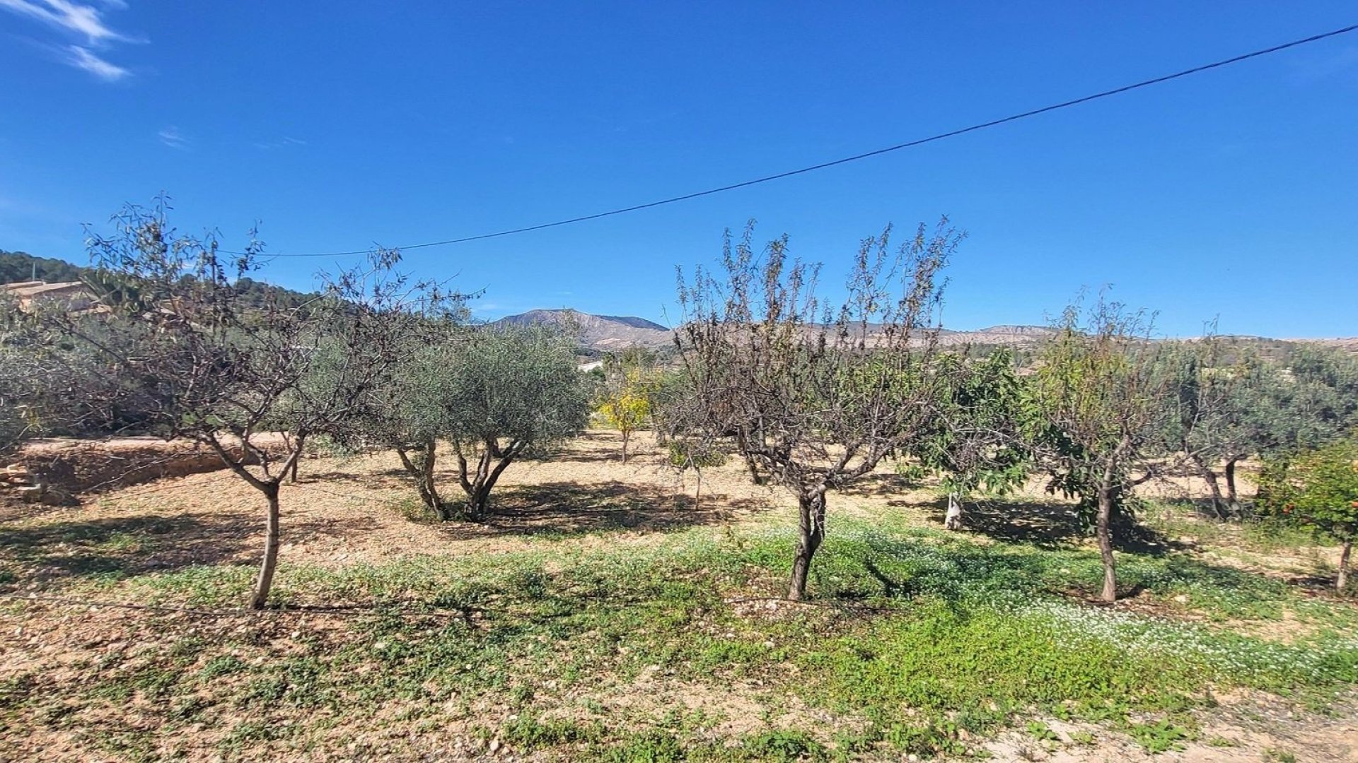 Reventa - Chalets -
La Romana