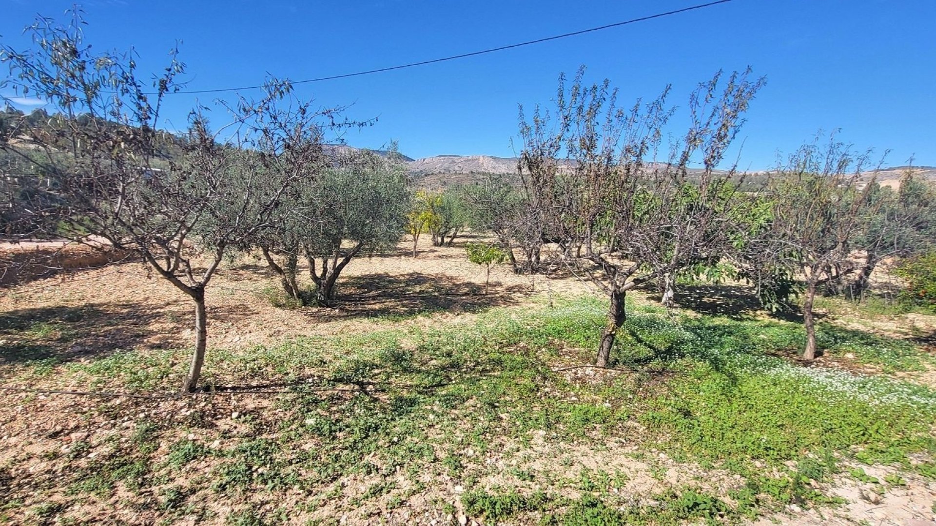 Reventa - Chalets -
La Romana