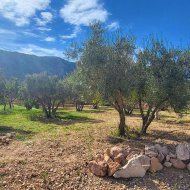 Reventa - Chalets -
La Romana