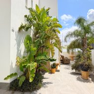 Reventa - Chalets -
Los Montesinos - La Herrada