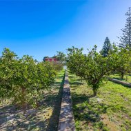 Reventa - Chalets -
Los Montesinos