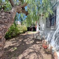 Reventa - Chalets -
Orihuela Costa - Cabo Roig