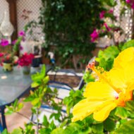 Reventa - Chalets -
Orihuela Costa - Los Dolses
