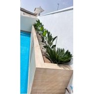 Reventa - Chalets -
Orihuela Costa - Villamartín