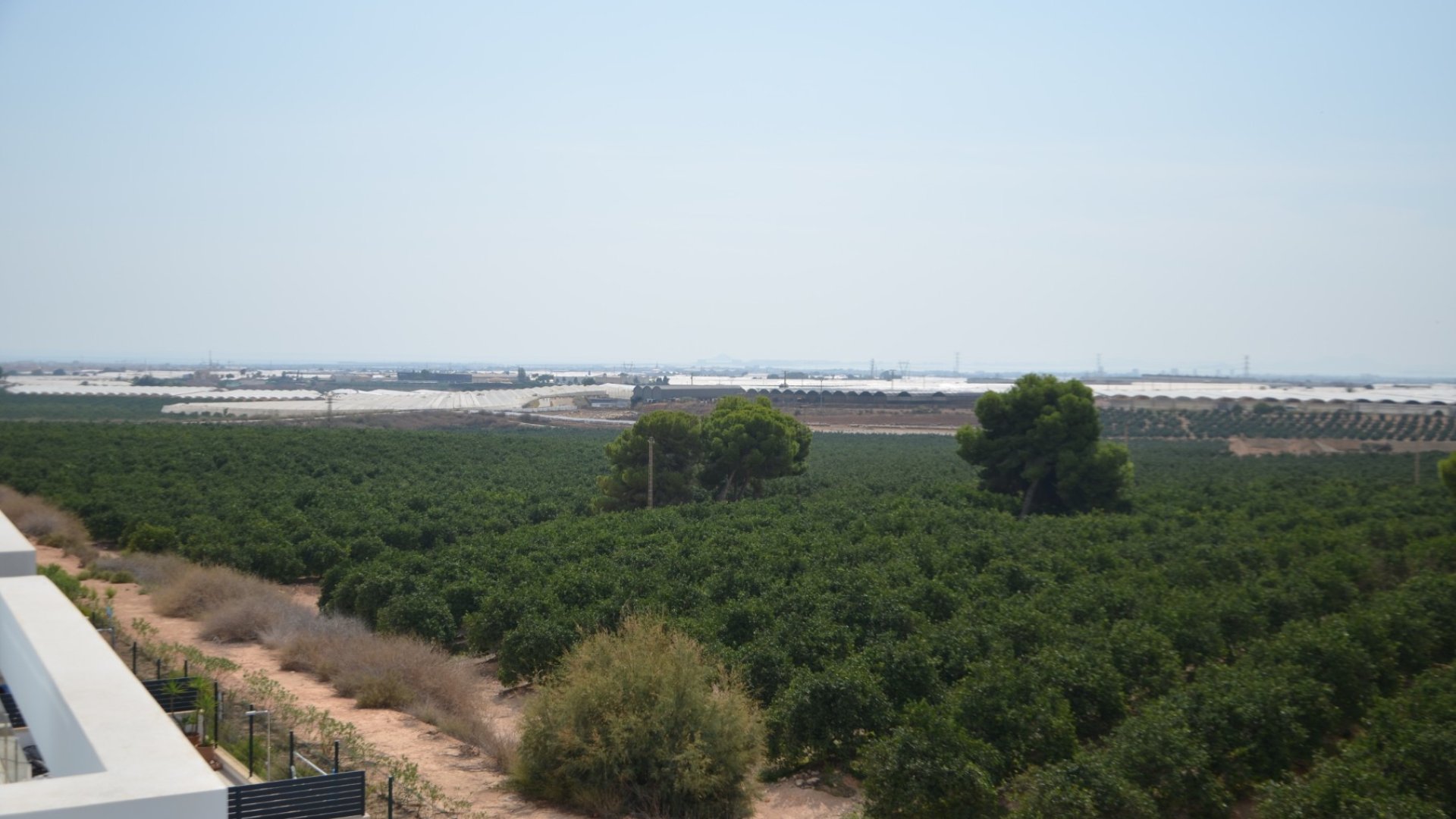 Reventa - Chalets -
Pilar de la Horadada