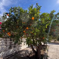 Reventa - Chalets -
Santa Pola