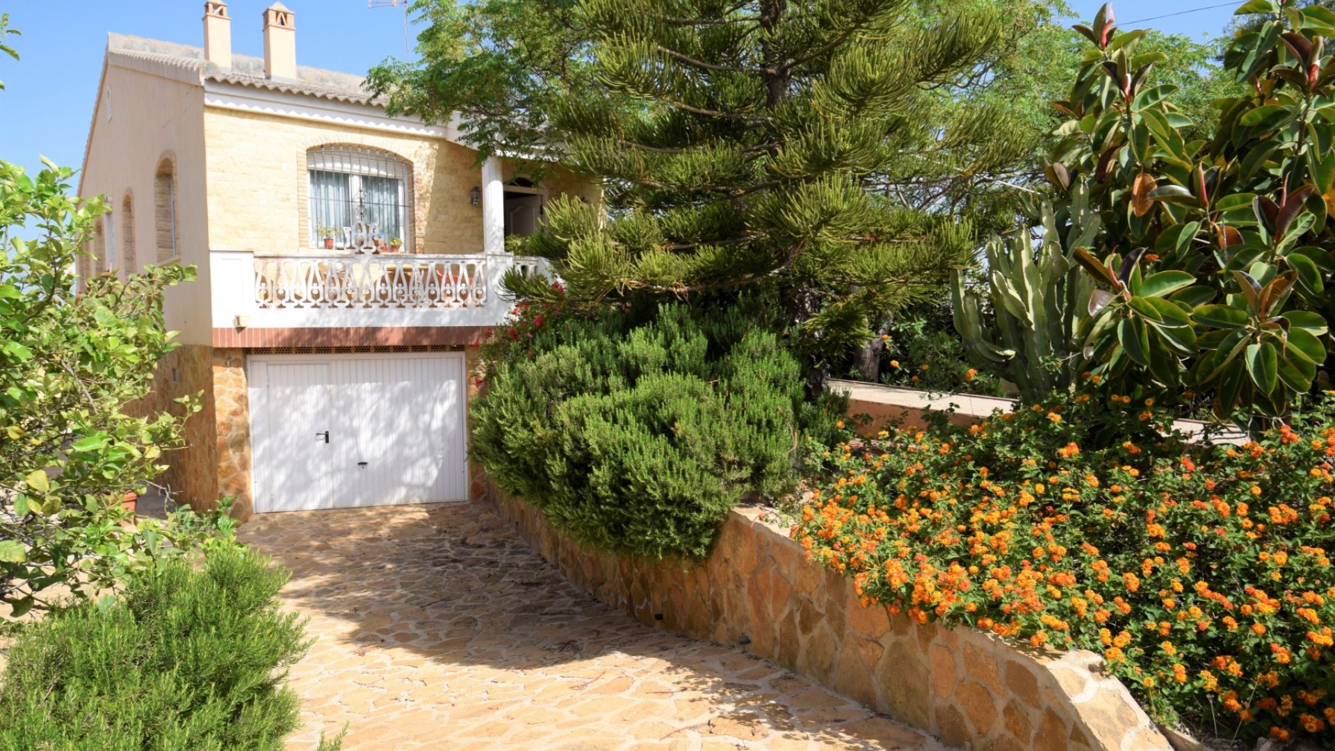 Reventa - Chalets -
Torrevieja - Aguas Nuevas