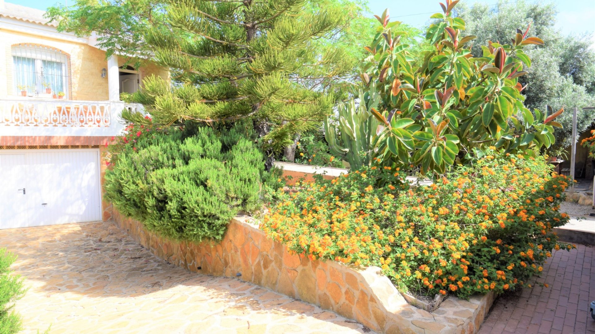 Reventa - Chalets -
Torrevieja - Aguas Nuevas