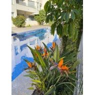 Reventa - Chalets -
Torrevieja - El Acequión - Los Náufragos