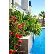 Reventa - Chalets -
Torrevieja - El Acequión - Los Náufragos