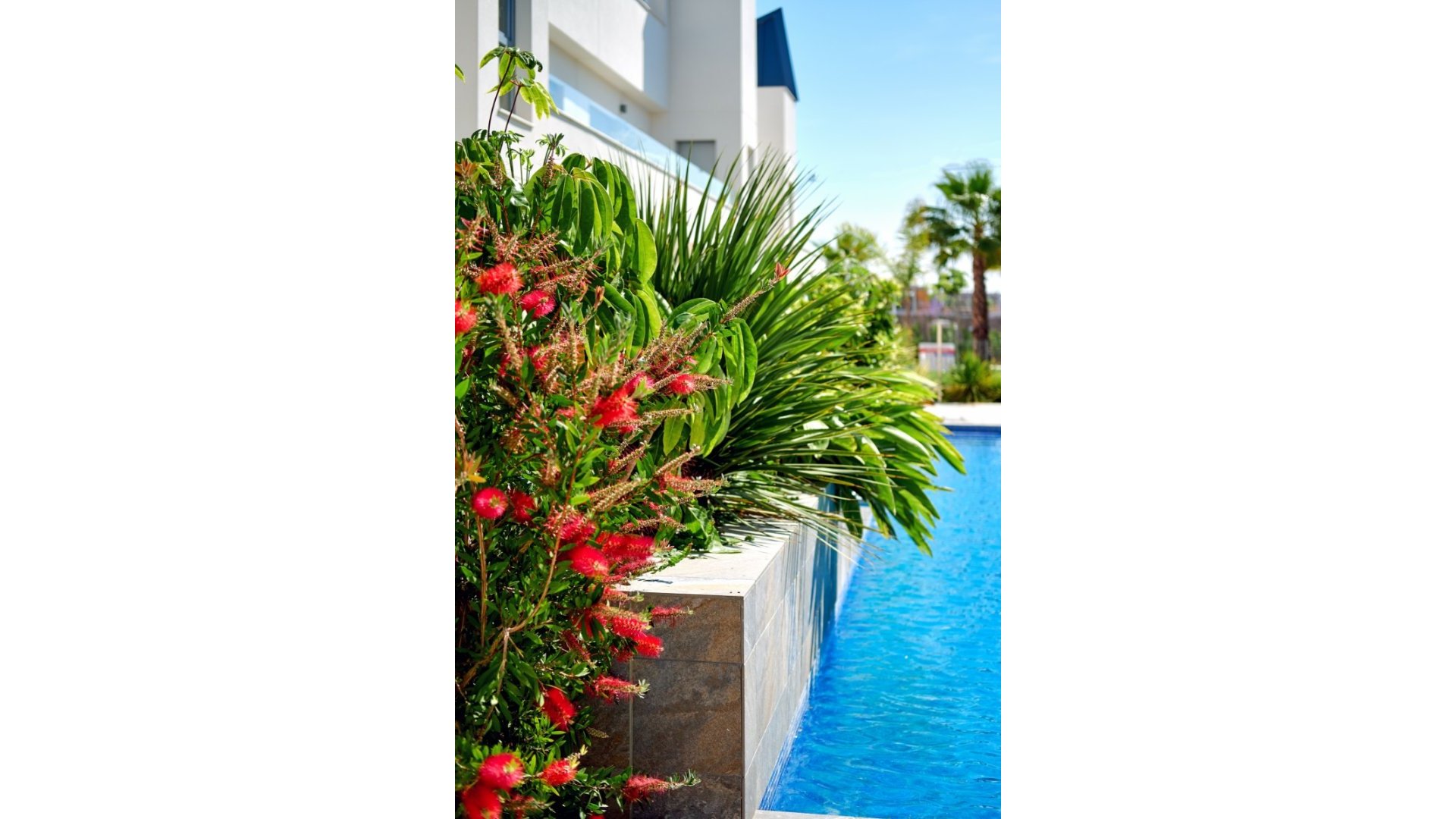 Reventa - Chalets -
Torrevieja - El Acequión - Los Náufragos