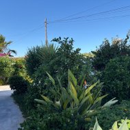 Reventa - Chalets -
Torrevieja - La Siesta