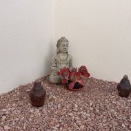 Reventa - Chalets -
Torrevieja - San Luis