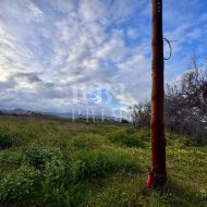 Reventa - Land -
Alcudia - Es Barcarás