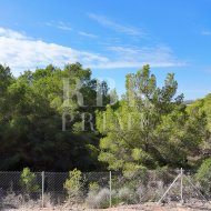 Reventa - Land -
Calvià - Cala Vinyes