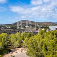 Reventa - Land -
Calvià - Cala Vinyes