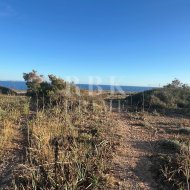 Reventa - Land -
Llucmajor - Vallgornera