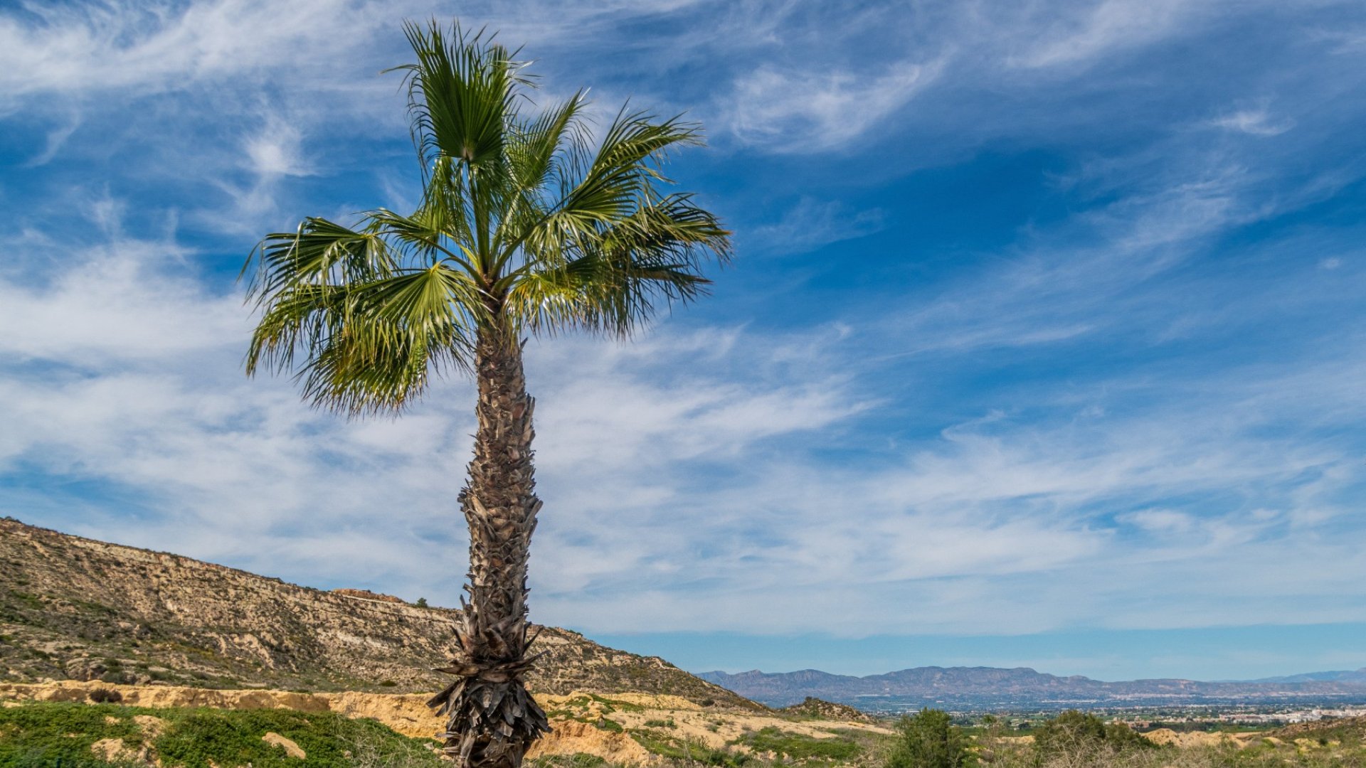 Revente - Appartements -
Algorfa - LA FINCA GOLF / ALGORFA