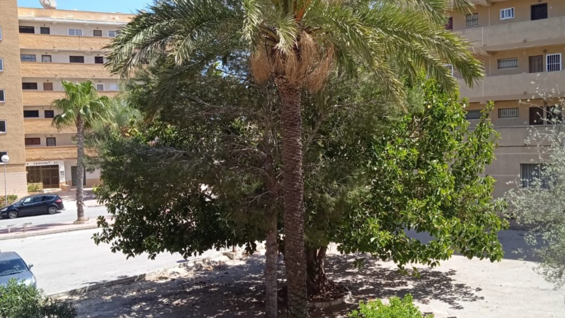 Revente - Appartements -
Guardamar del Segura - Pinomar