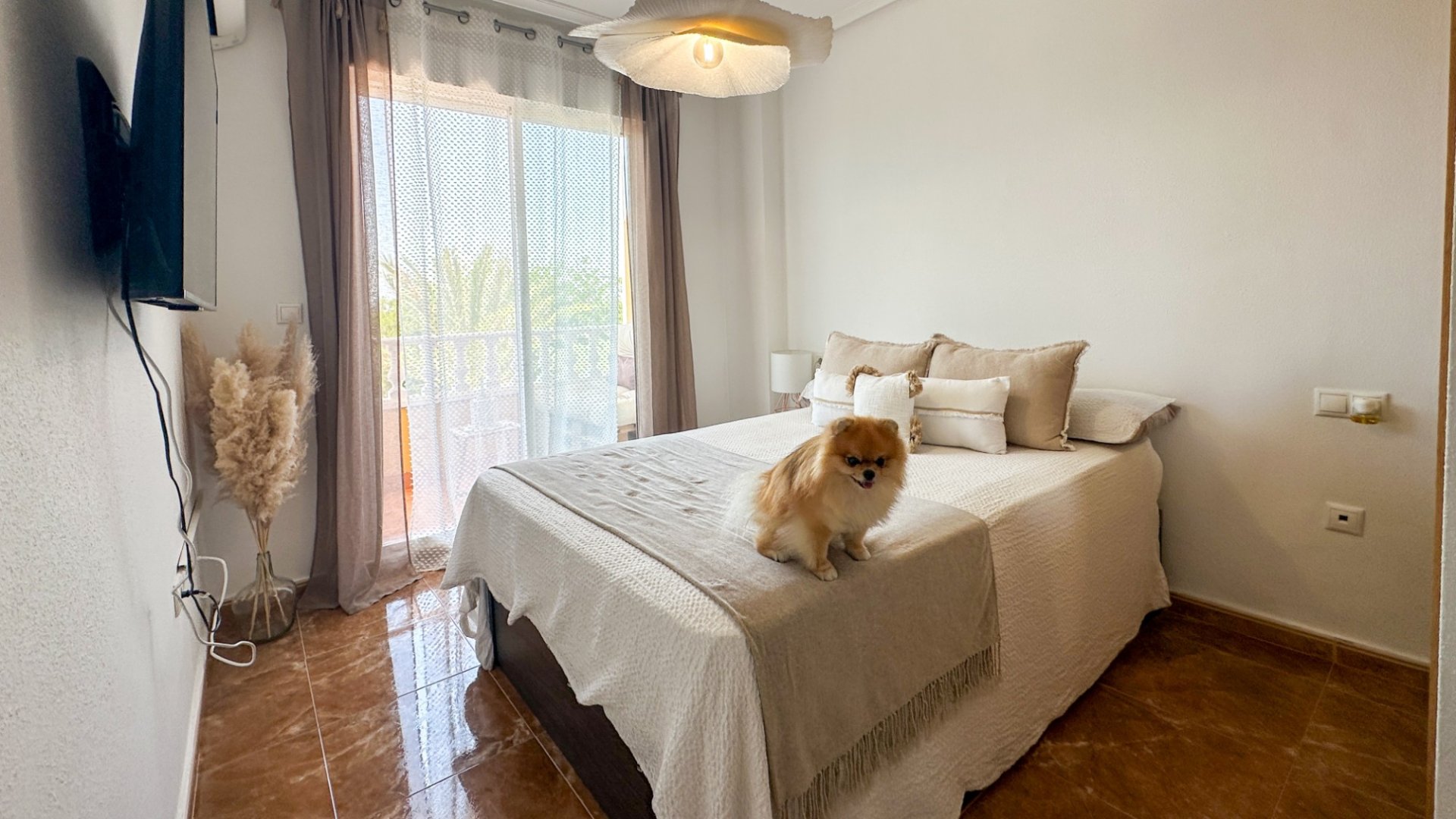 Revente - Appartements -
Guardamar del Segura