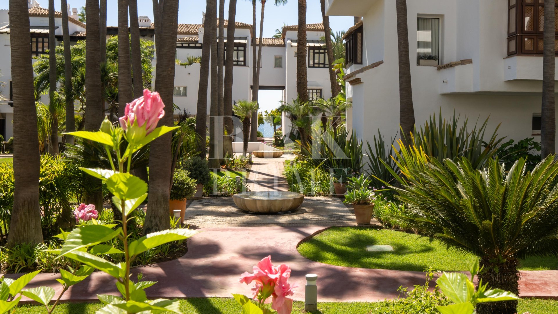 Revente - Appartements -
Marbella