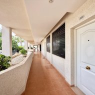 Revente - Appartements -
Monforte del Cid