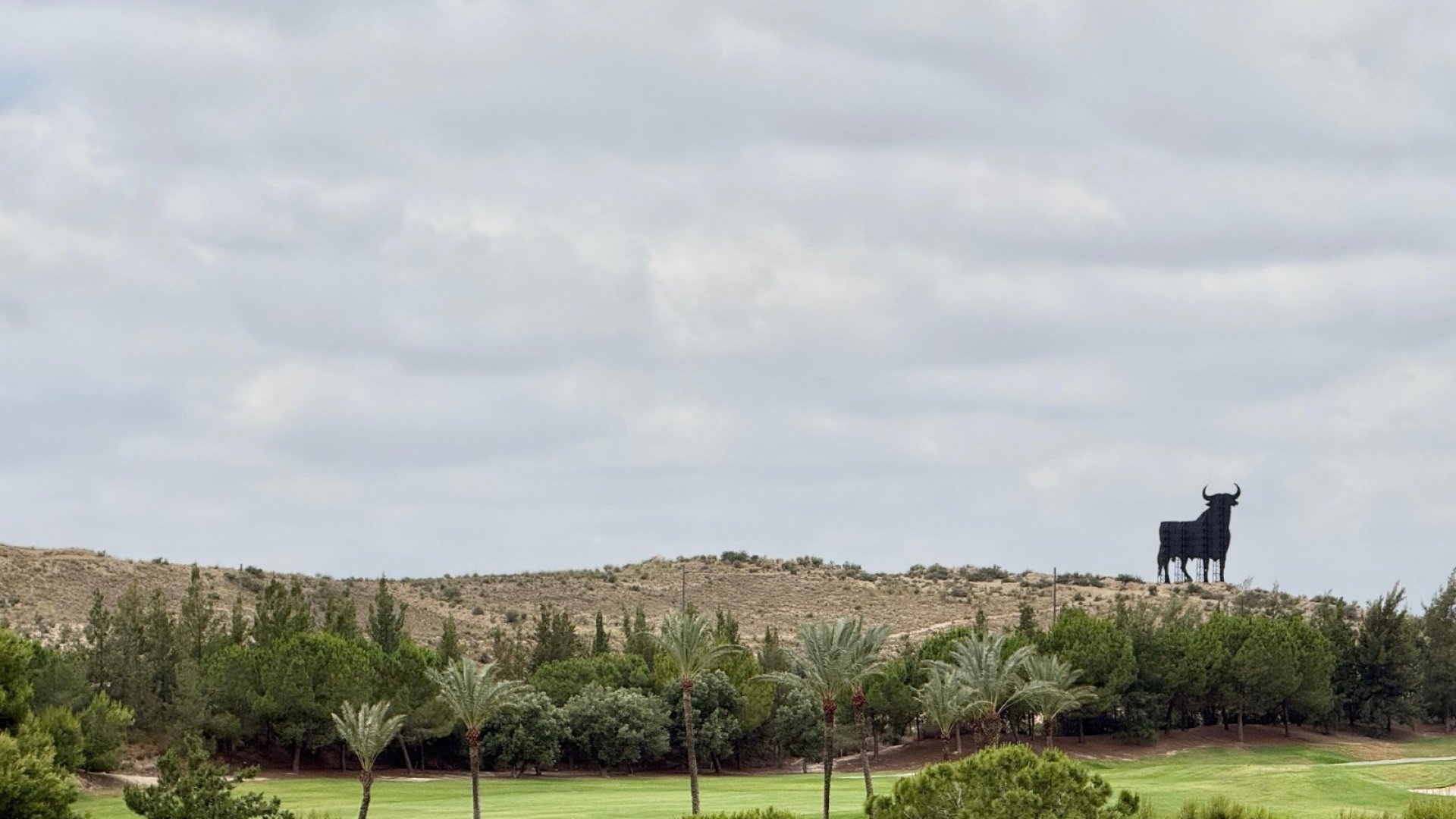 Revente - Appartements -
Monforte del Cid