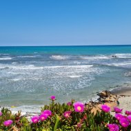 Revente - Appartements -
Orihuela Costa - Aguamarinas