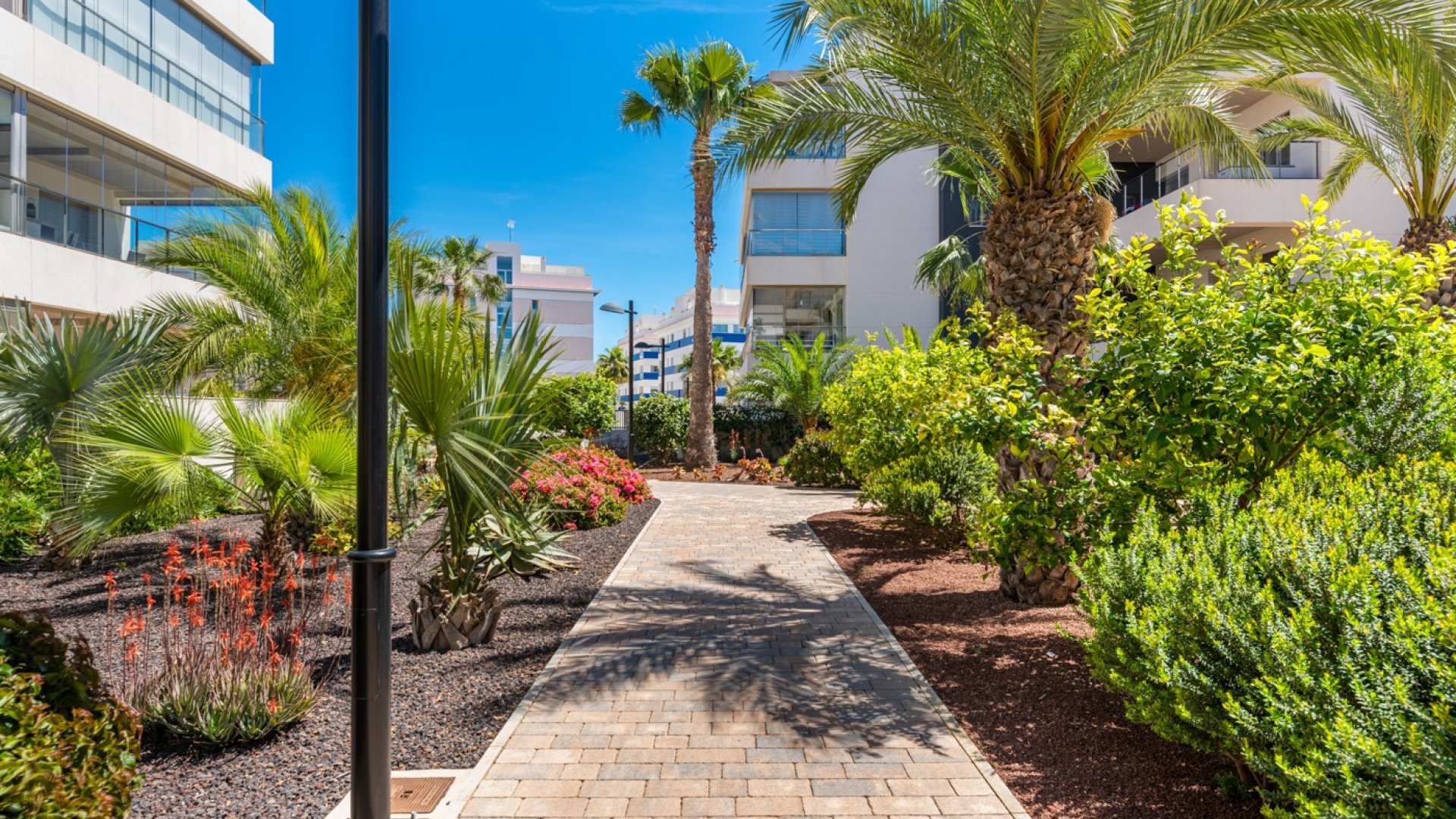 Revente - Appartements -
Orihuela Costa - Los Dolses