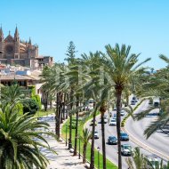 Revente - Appartements -
Palma - Santa Catalina