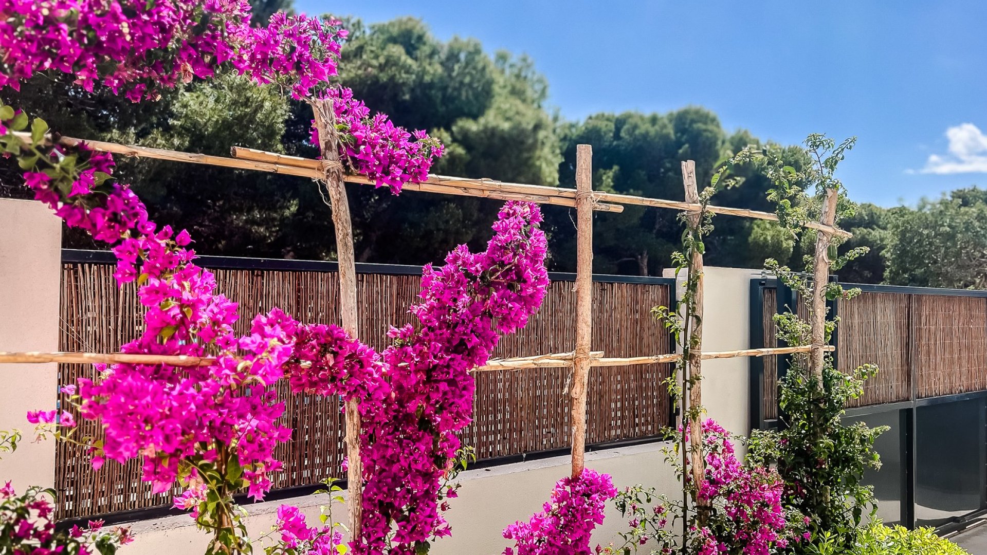 Revente - Appartements -
Santiago de la Ribera - zona san blas