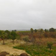 Revente - Appartements -
Torremendo