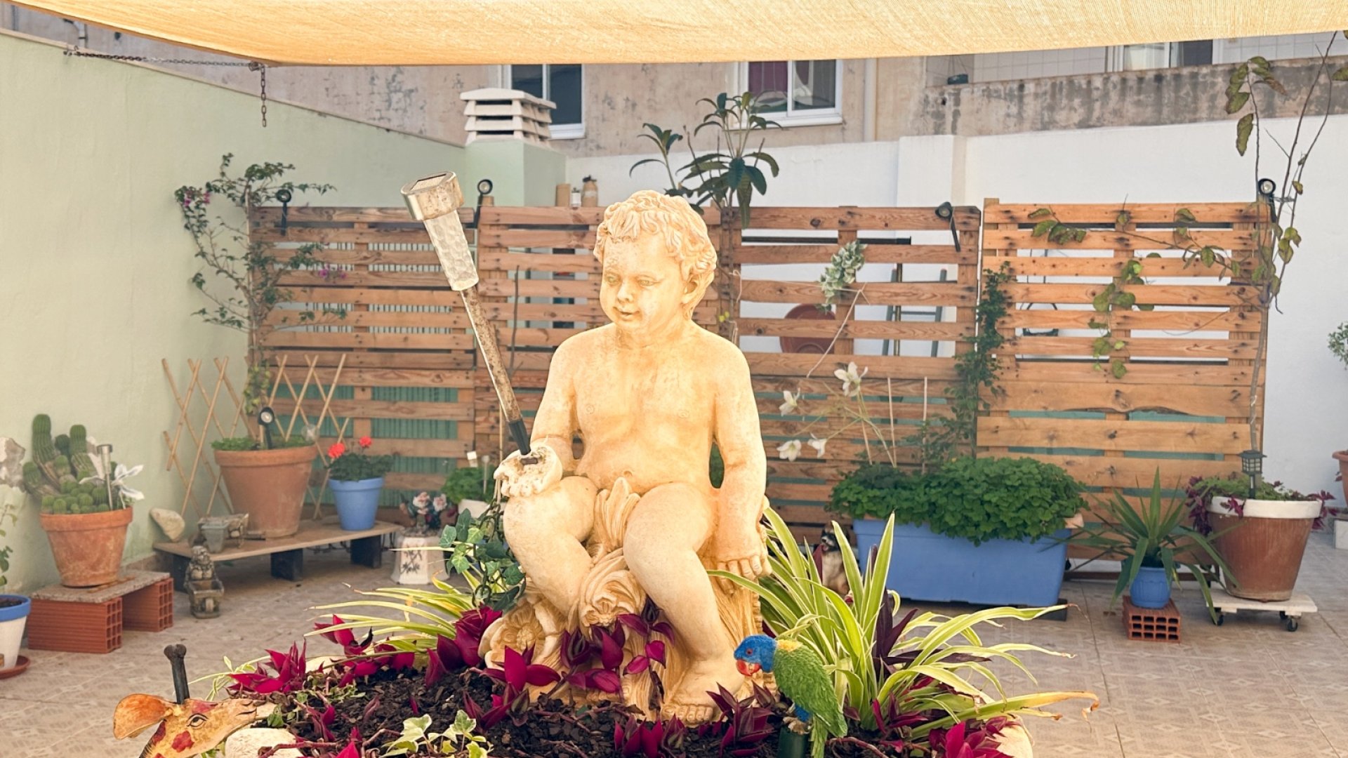 Revente - Appartements -
Torrevieja - Center