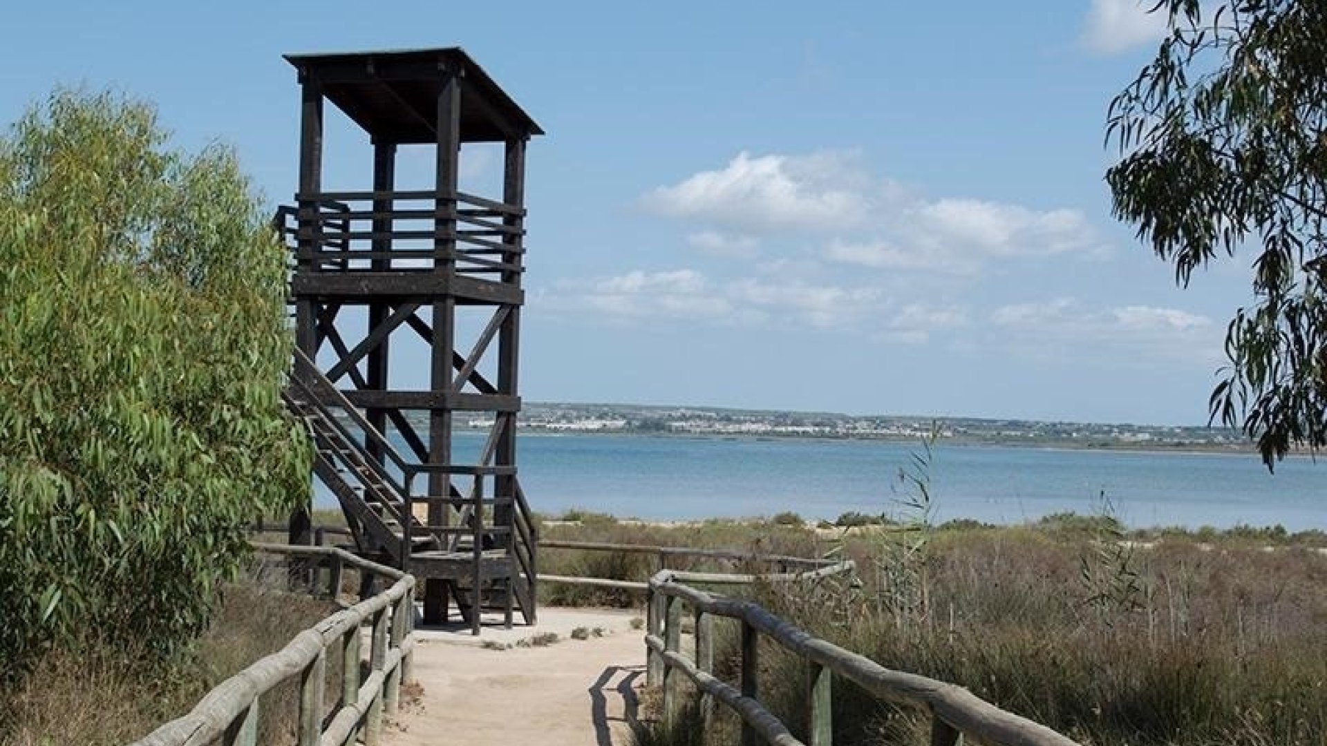 Revente - Appartements -
Torrevieja - La Mata