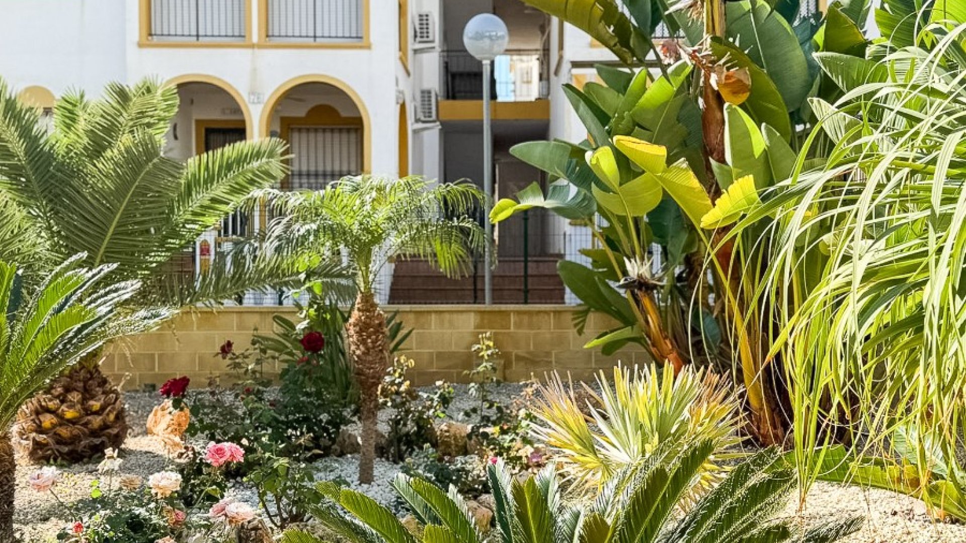 Revente - Appartements -
Torrevieja - La Mata