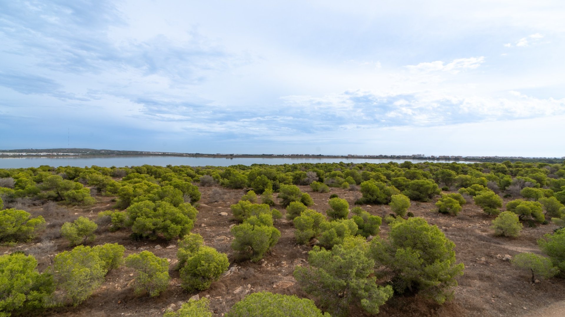 Revente - Appartements -
Torrevieja - La Siesta