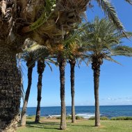 Revente - Appartements -
Torrevieja - La veleta