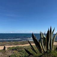 Revente - Appartements -
Torrevieja - La veleta