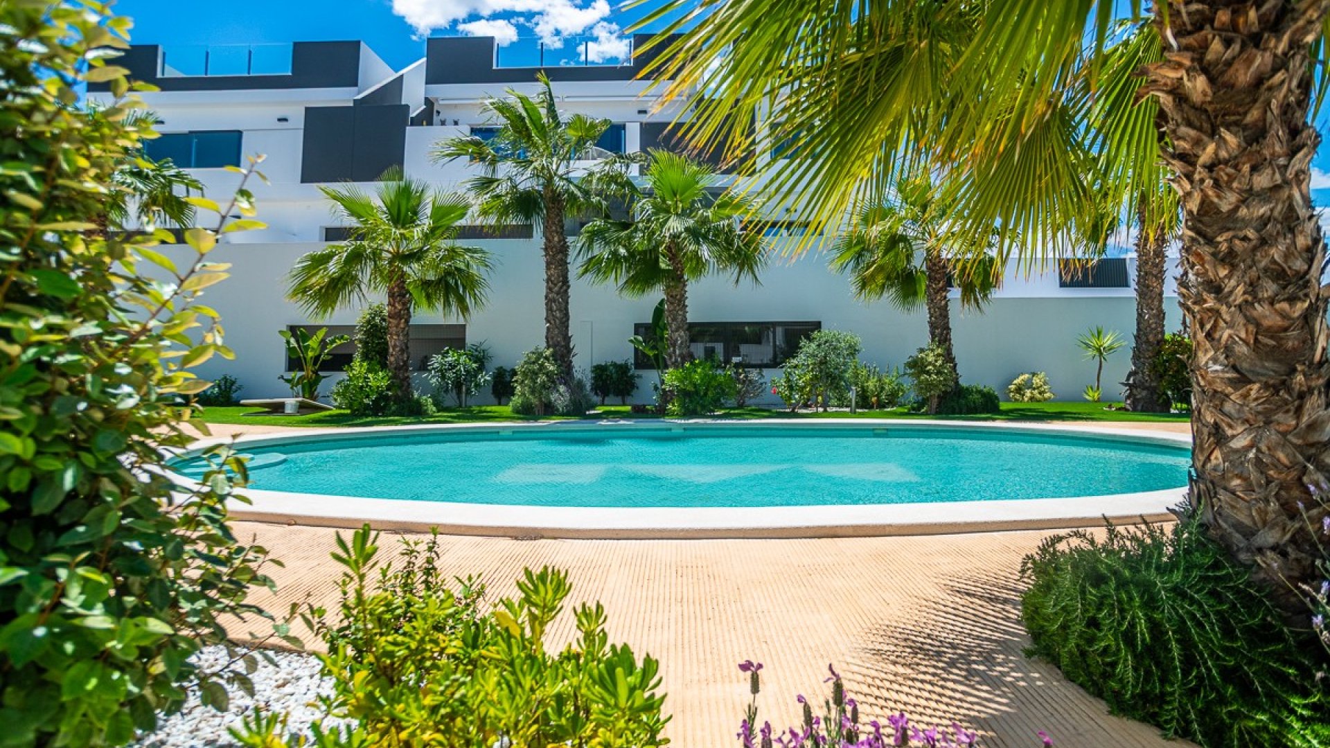 Revente - Appartements -
Torrevieja - LOS BALCONES - LOS ALTOS