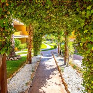 Revente - Appartements -
Torrevieja - Punta Prima