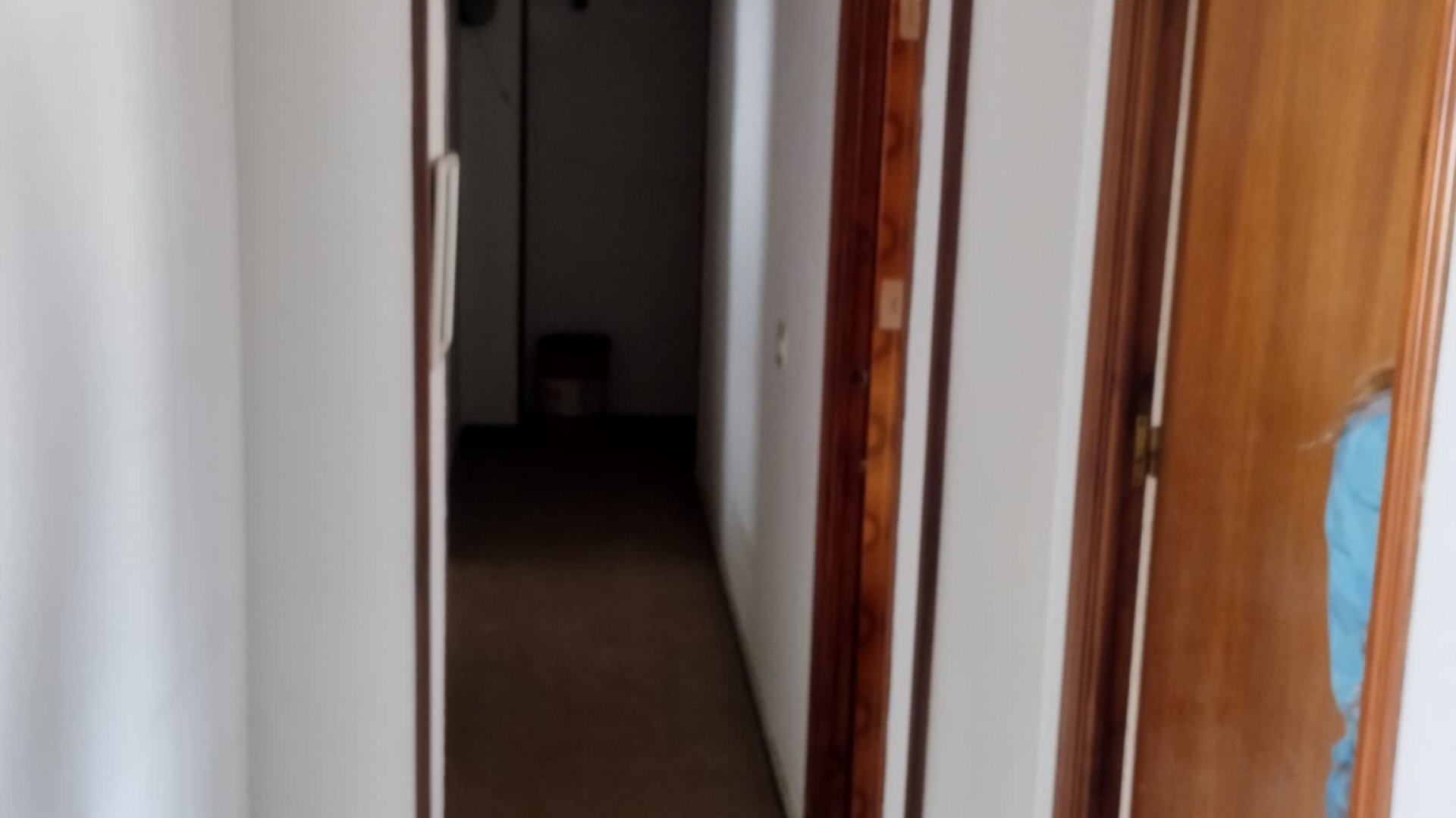 Revente - Commercial -
Torrevieja - Costa Blanca